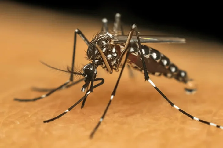 Região tem 454 novos casos de dengue confirmados de terça para quarta-feira; 12 mortes estão em investigação!