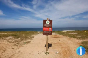 Restinga de Maricá: disputa pelo território opõe empresa e comunidades