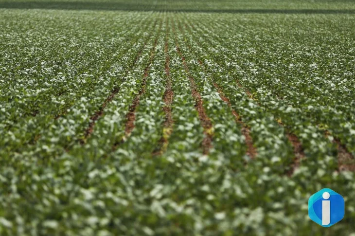 Reunião com bancada do agro termina sem acordo sobre dívidas rurais