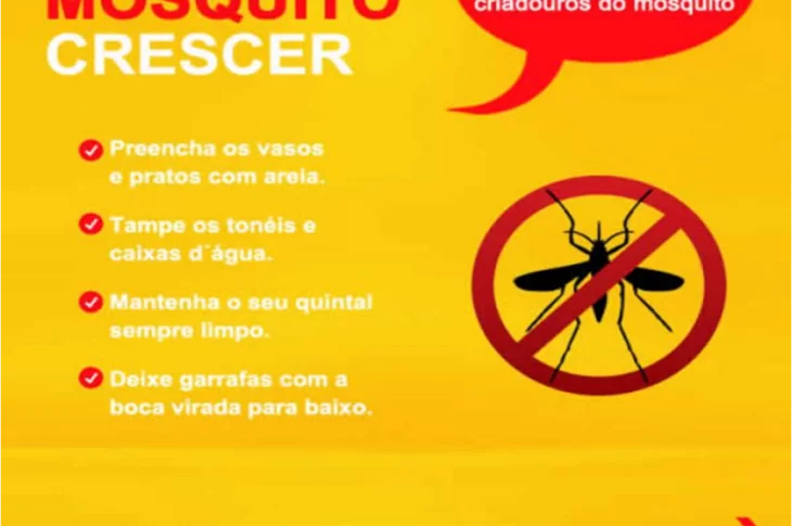 Saiba como evitar a proliferação do aedes aegypti, transmissor da dengue