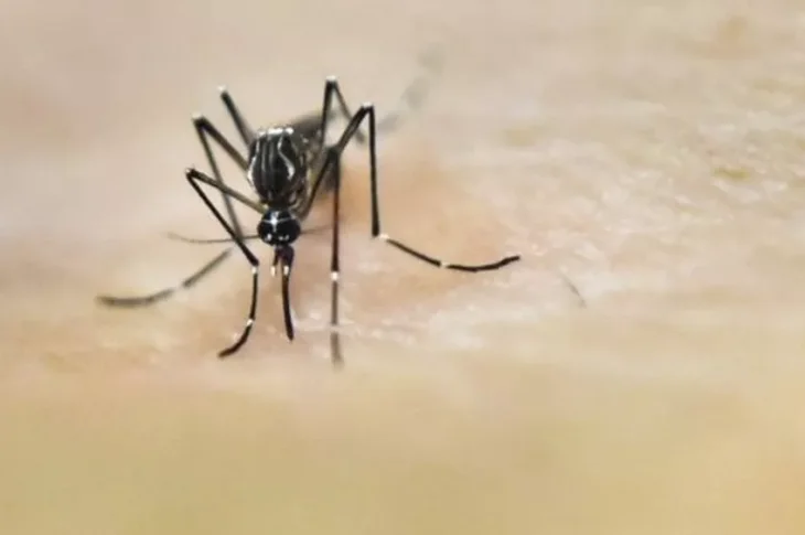 Saúde confirma 1ª morte causada pela dengue em Presidente Prudente em 2022; casos positivos já passam de 1,2 mil