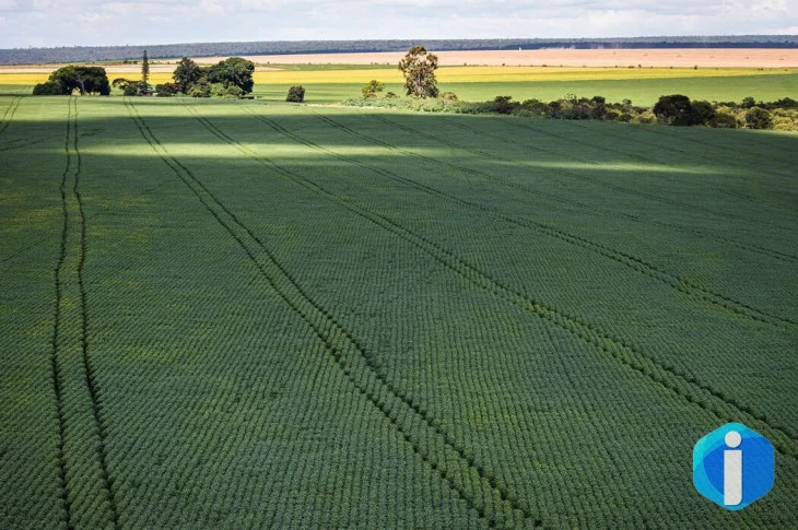 Senado aprova plano para fabricação de fertilizantes no Brasil