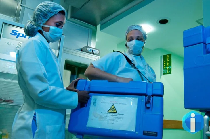 Setembro Verde: idosos também podem ser doadores vivos de órgãos