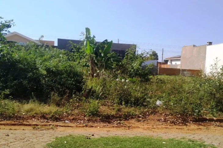 Setor de Fiscalização da Prefeitura notificará terrenos para limpeza no Residencial da Faive
