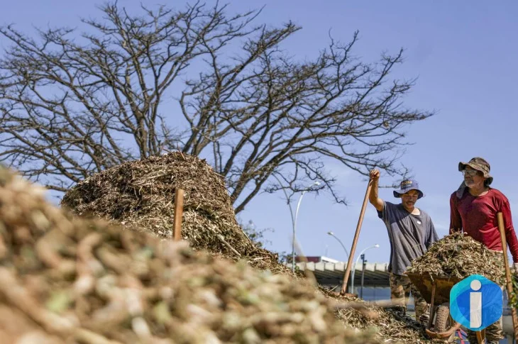 Sistemas agroecológicos de quatro biomas são criados em Brasília