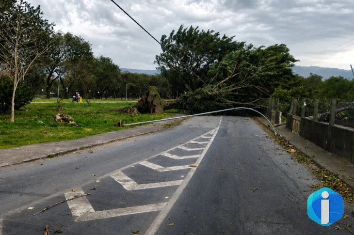 SP: ventania pode atingir 50 km/h no fim de semana
