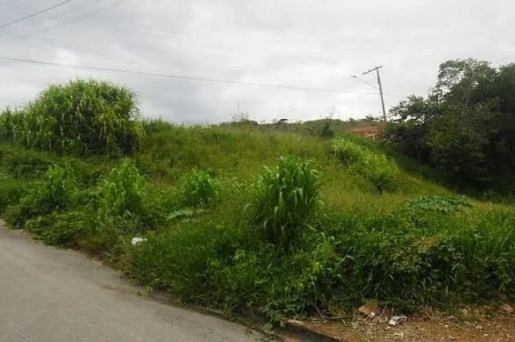 Terrenos de quatro bairros são notificados para limpeza em Presidente Venceslau