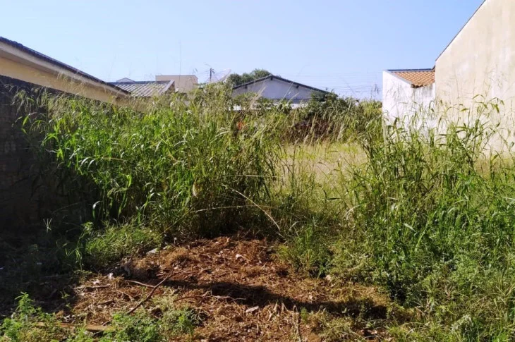 Terrenos localizados em dez bairros são notificados para limpeza em Presidente Venceslau