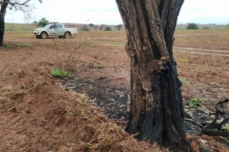 Uso irregular de fogo danifica área de 10,4 hectares e 16 árvores nativas em fazenda e homem é autuado em R$ 17,6 mil, em Caiuá