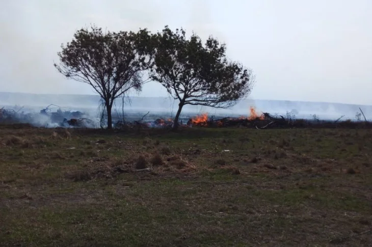 Venceslauense é multado em R$ 22 mil por incêndio em pastagem na zona rural de Bataguassu