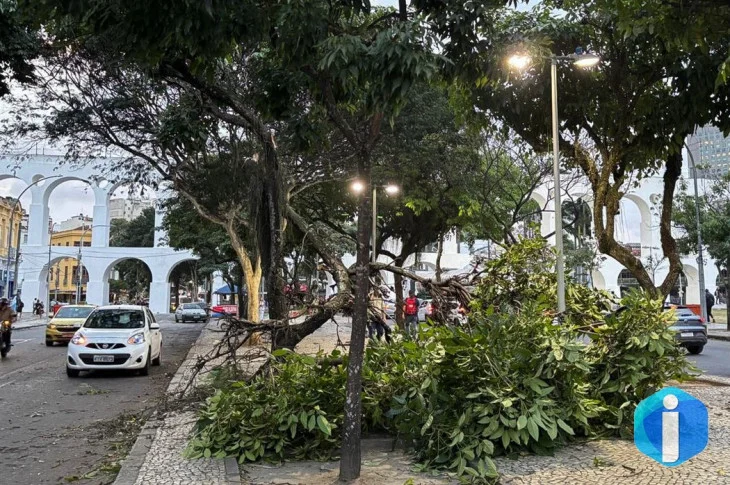 Ventania: moradores do Rio acordam sob alerta; saiba o que fazer